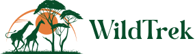Adventure & Wildlife