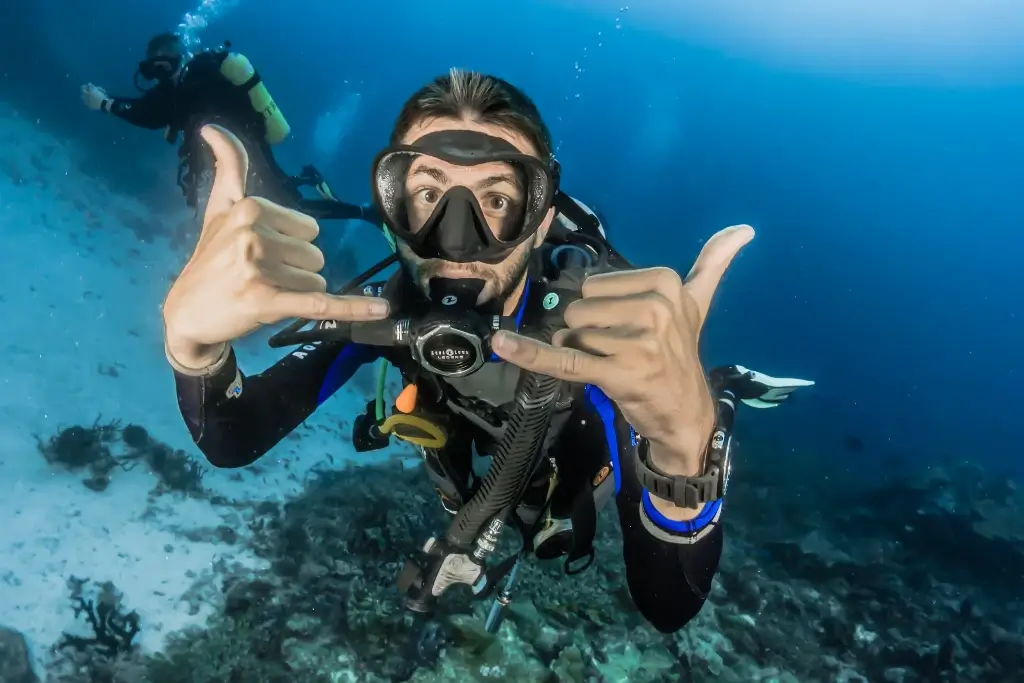 Freediving vs. Scuba: Which Is Right for You?