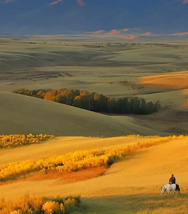 b2af136a8923b098579fab8991333ad5cd1cf880