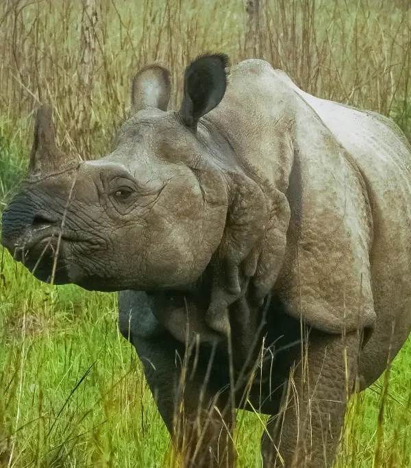 33721cd5849d7b55304638b0601b67298d0b31ef